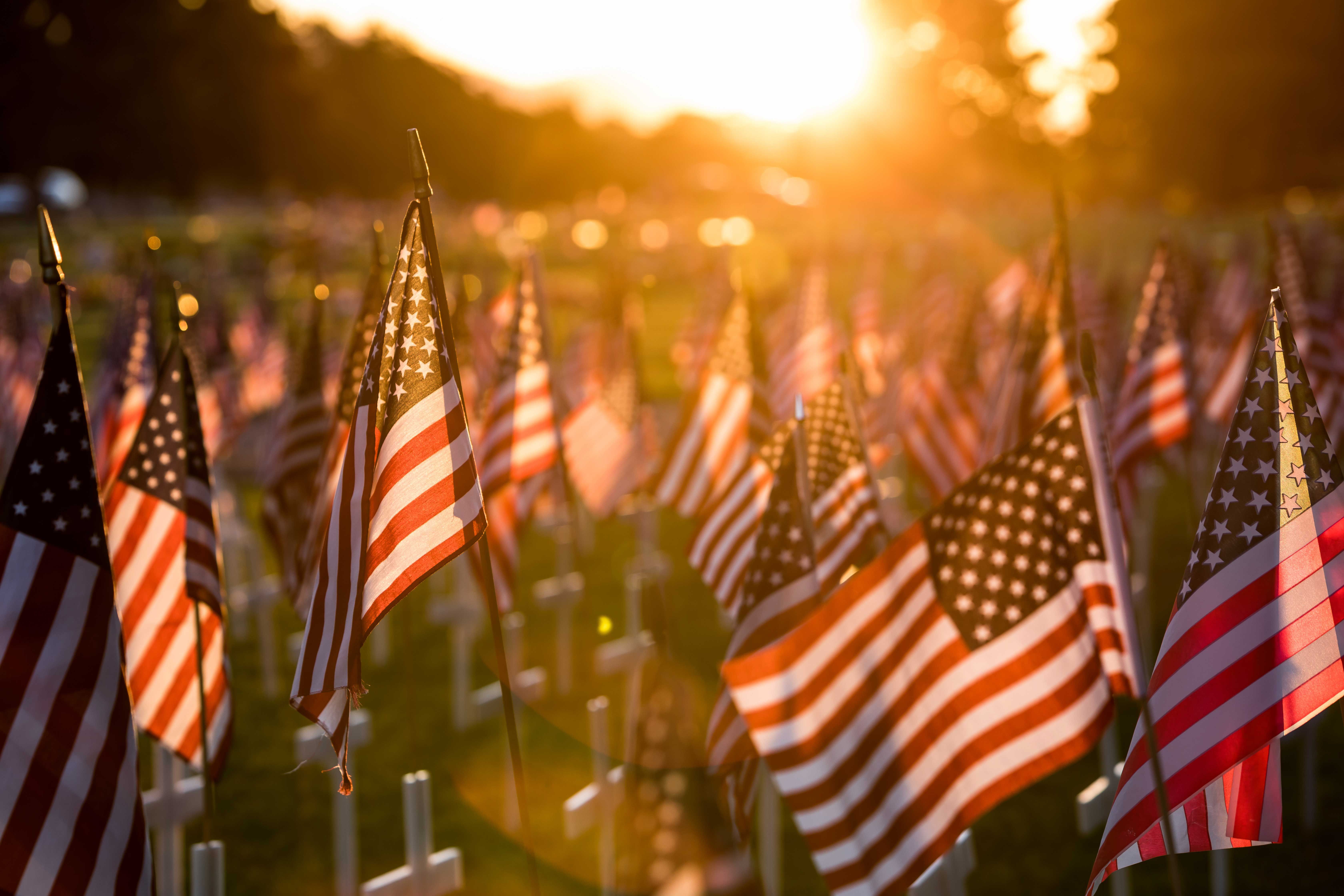 Rows of American flags in a cemetery at sunset